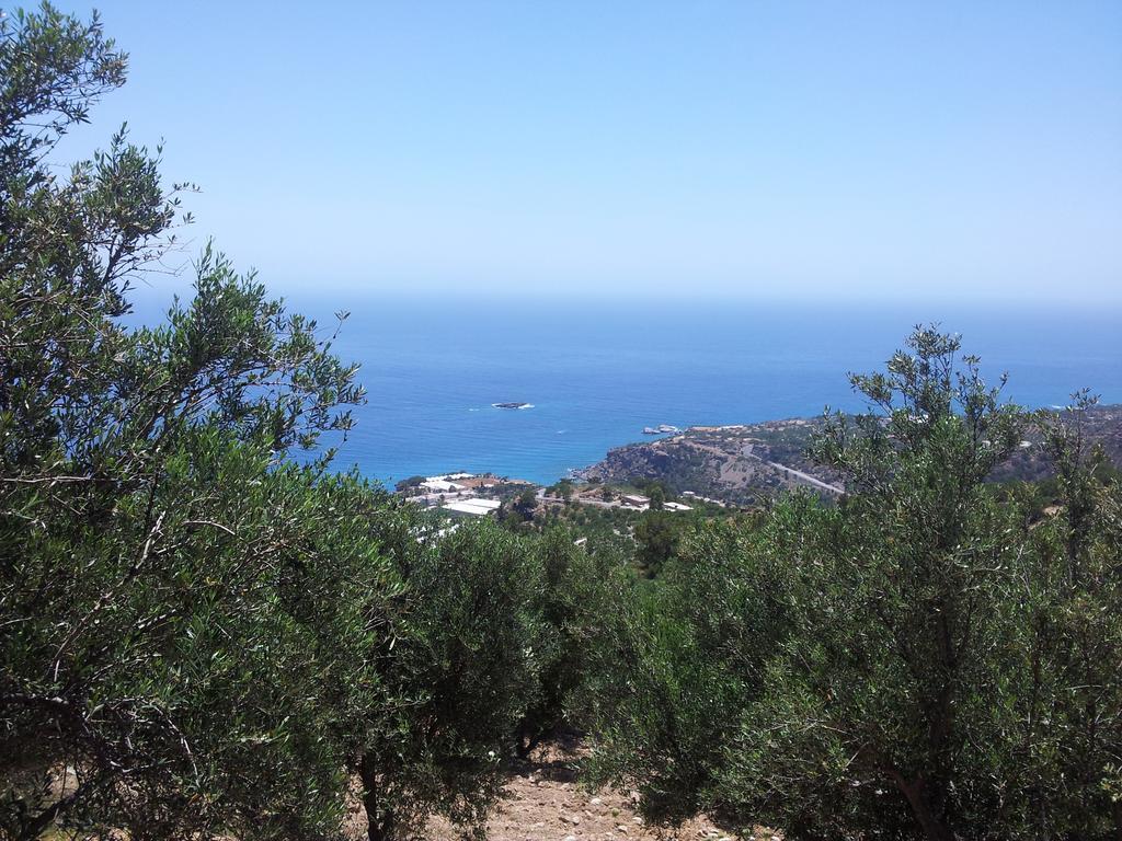 Stefanos Apartments Agia Fotia  Eksteriør bilde