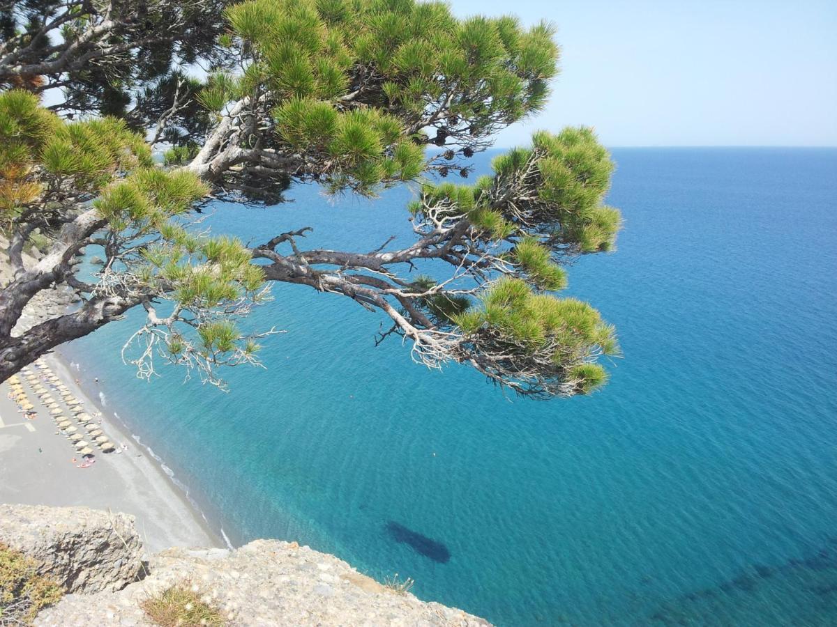 Stefanos Apartments Agia Fotia  Eksteriør bilde
